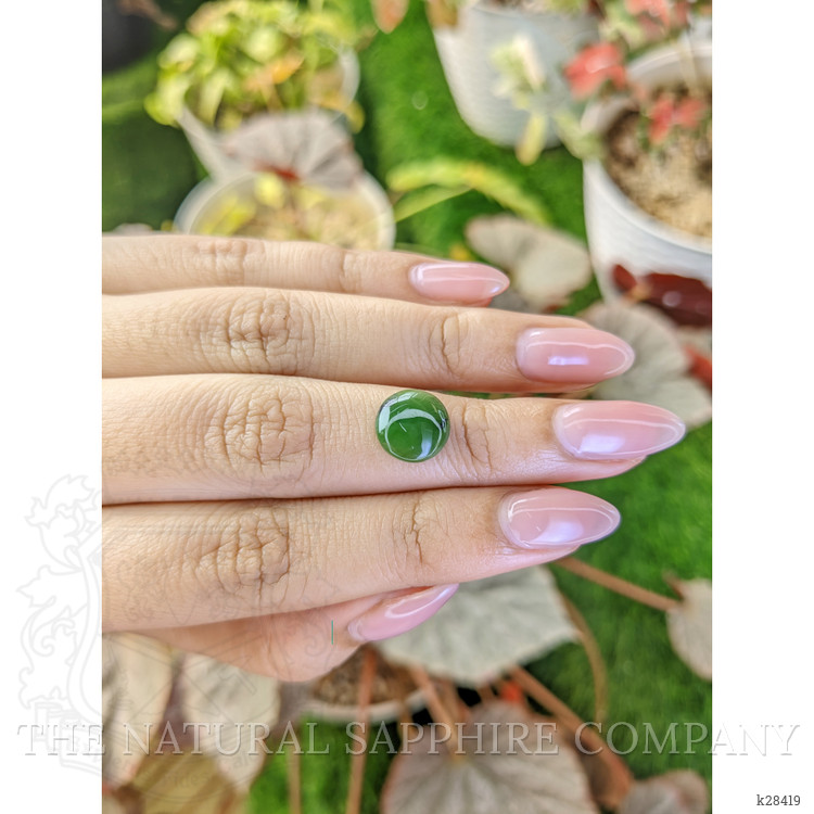 2.77 Ct. Green Cabochon Jade from Burma (Myanmar)