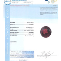 Jewelry Scan Report