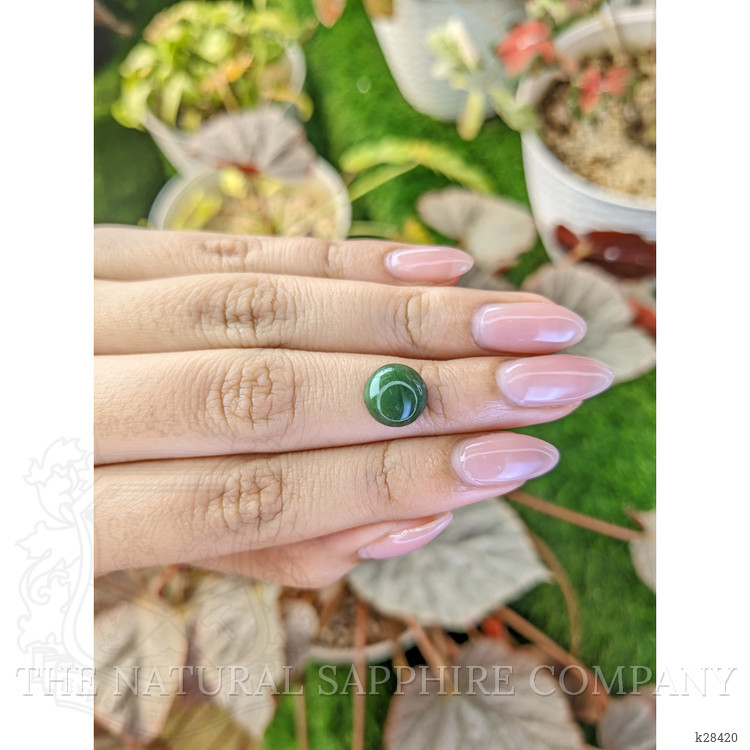 3.45 Ct. Green Cabochon Jade from Burma (Myanmar)