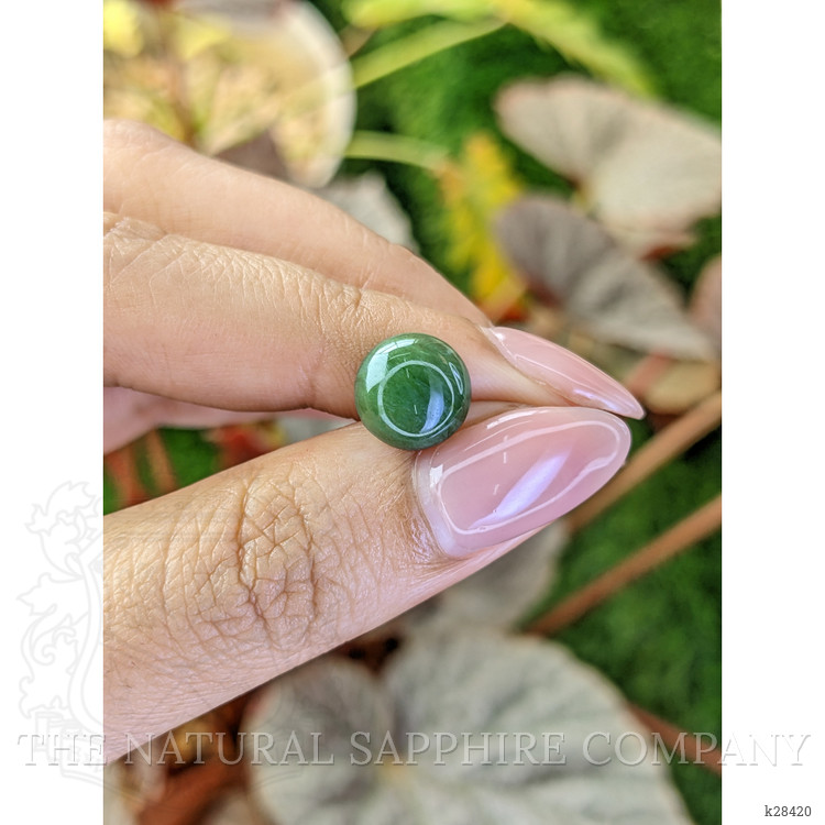 3.45 Ct. Green Cabochon Jade from Burma (Myanmar)