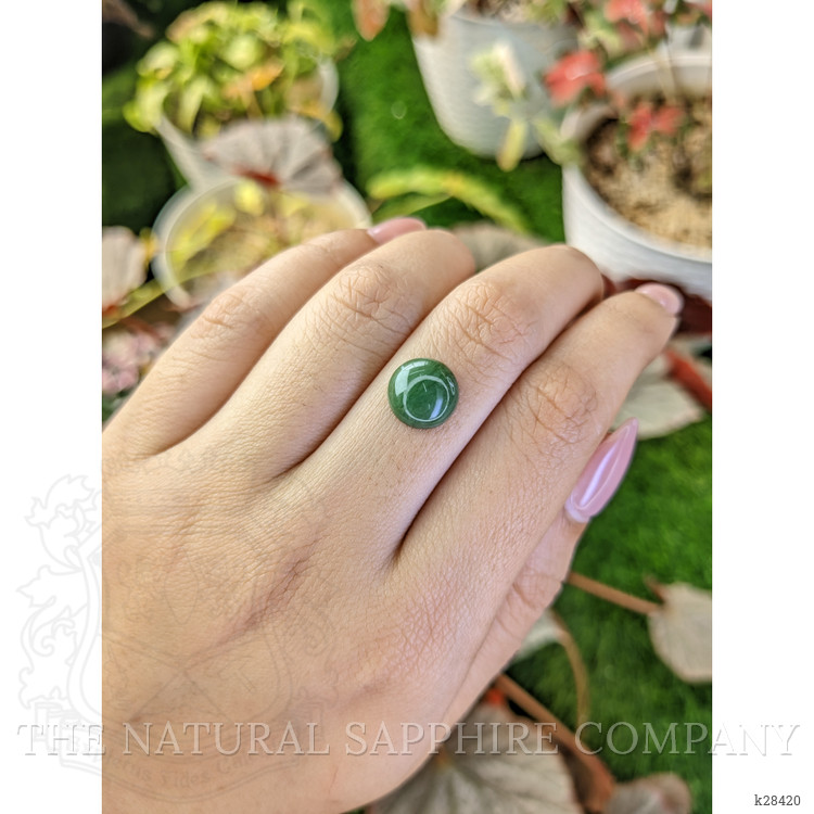 3.45 Ct. Green Cabochon Jade from Burma (Myanmar)