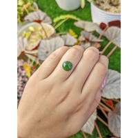 3.29 Ct. Green Cabochon Jade from Burma (Myanmar) Life Style
