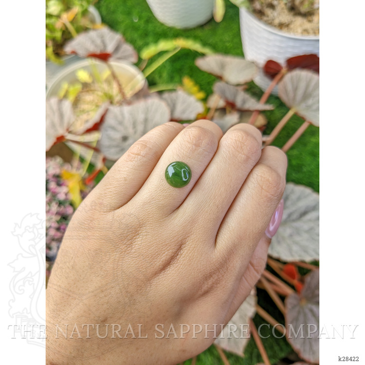 3.29 Ct. Green Cabochon Jade from Burma (Myanmar)