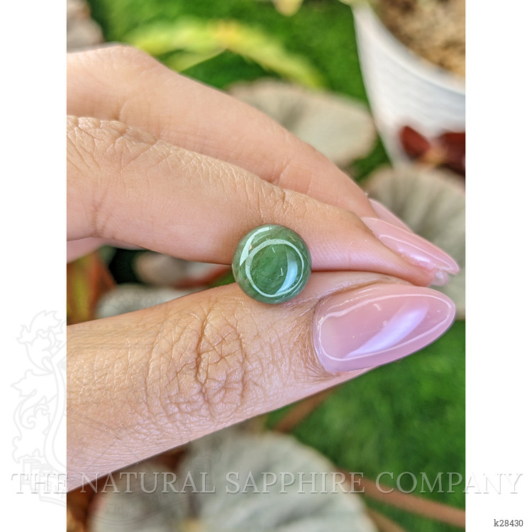 3.19 Ct. Green Cabochon Jade from Burma (Myanmar)