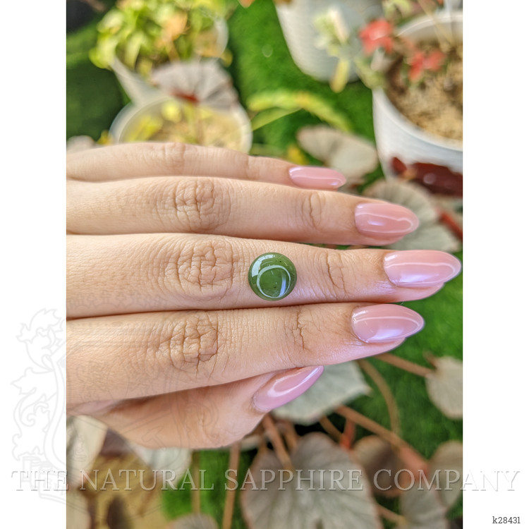3.53 Ct. Green Cabochon Jade from Burma (Myanmar)