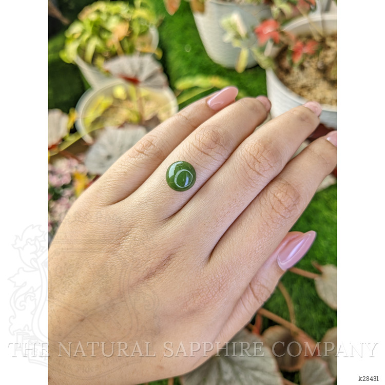 3.53 Ct. Green Cabochon Jade from Burma (Myanmar)