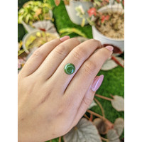 2.89 Ct. Green Cabochon Jade from Burma (Myanmar) Life Style