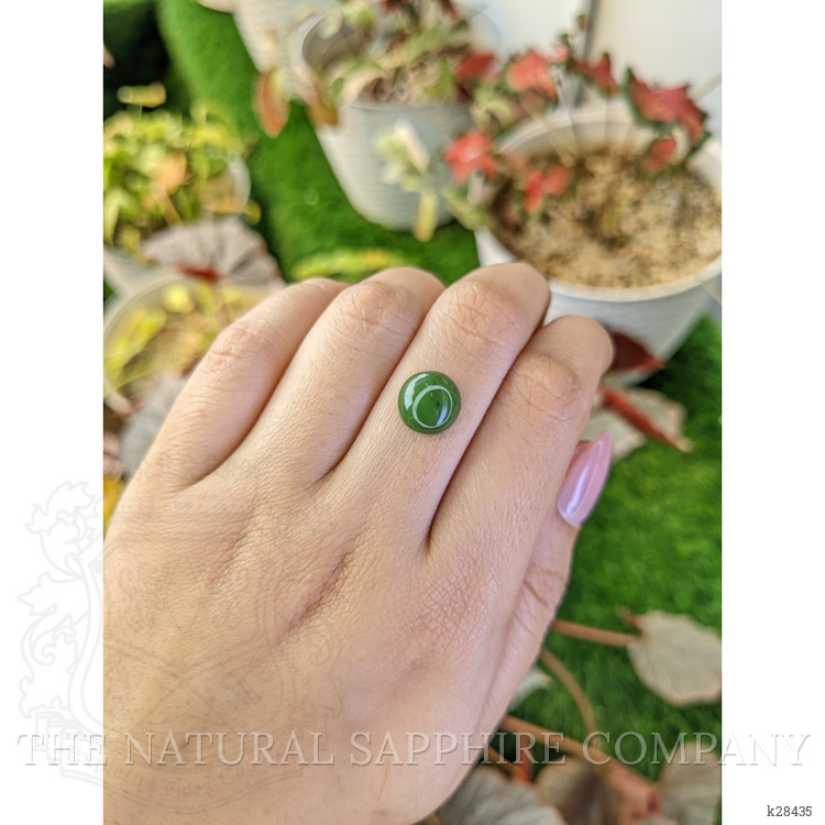 3.59 Ct. Green Cabochon Jade from Burma (Myanmar)