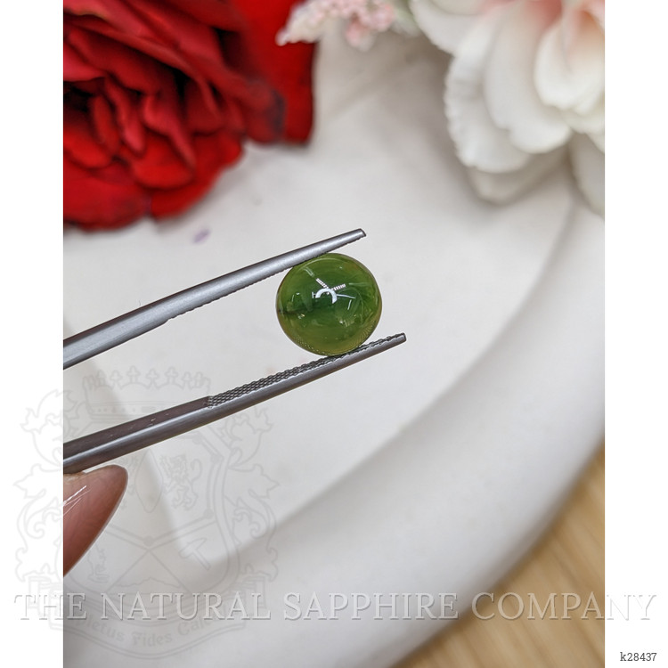 3.39 Ct. Green Cabochon Jade from Burma (Myanmar)