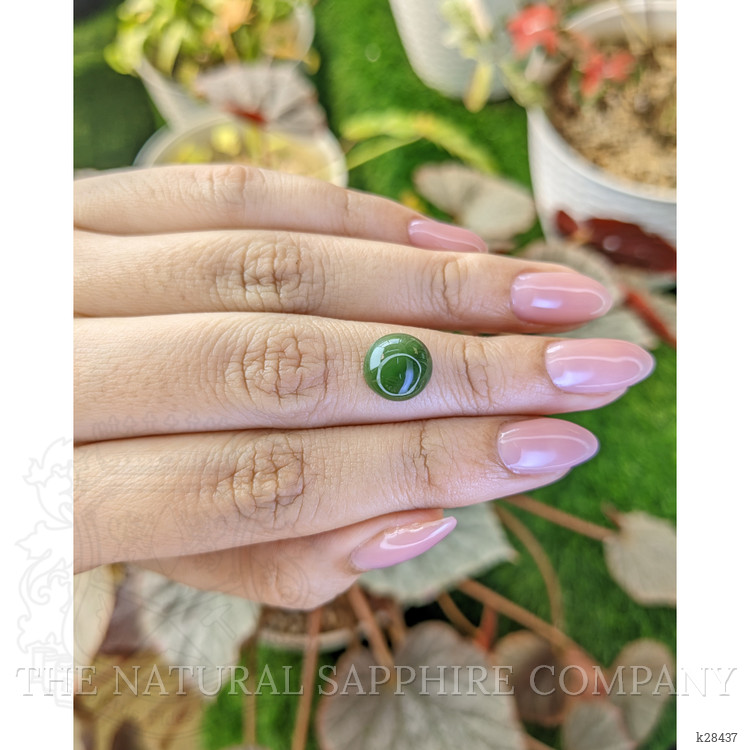 3.39 Ct. Green Cabochon Jade from Burma (Myanmar)