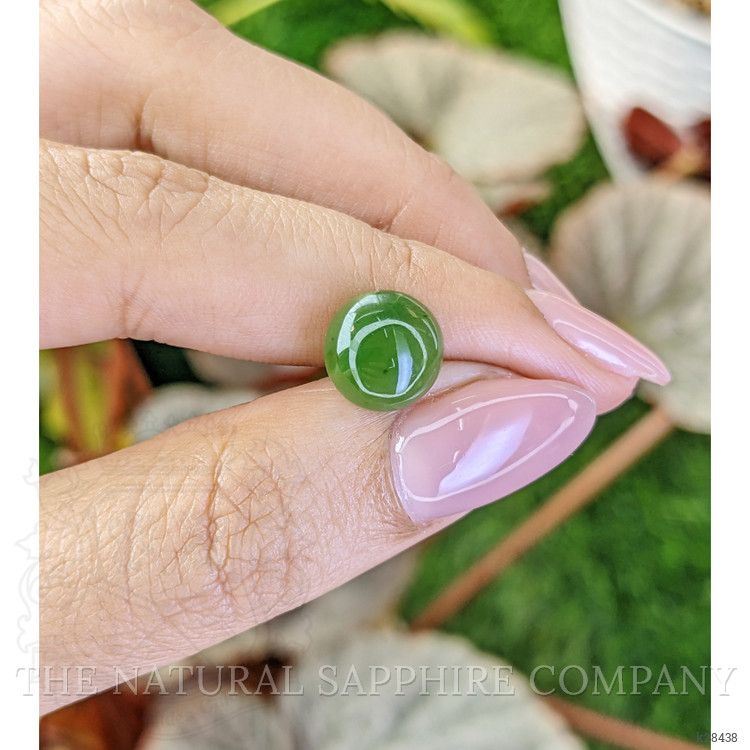3.53 Ct. Green Cabochon Jade from Burma (Myanmar)