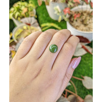 3.63 Ct. Green Cabochon Jade from Burma (Myanmar) Life Style