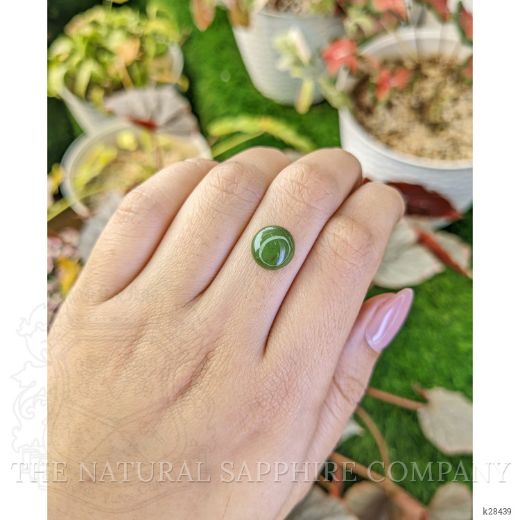 3.63 Ct. Green Cabochon Jade from Burma (Myanmar)