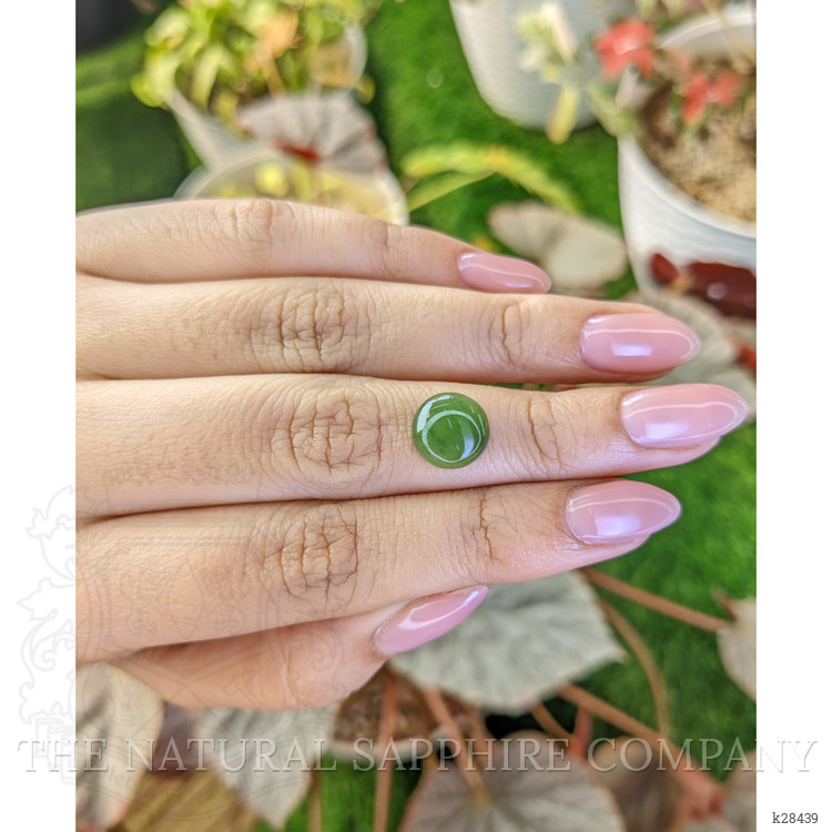3.63 Ct. Green Cabochon Jade from Burma (Myanmar)