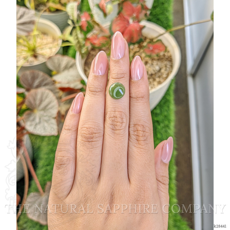 2.92 Ct. Green Cabochon Jade from Burma (Myanmar)