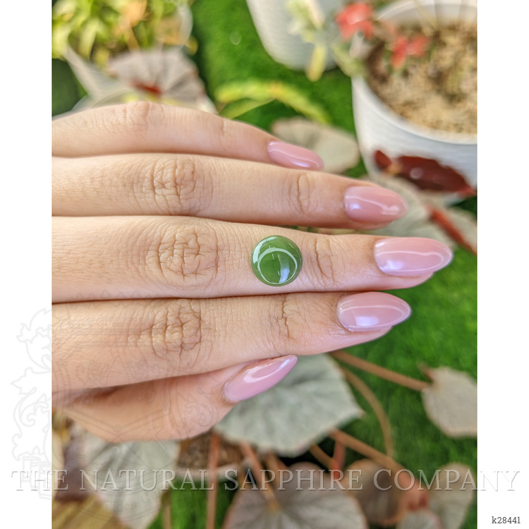 2.92 Ct. Green Cabochon Jade from Burma (Myanmar)