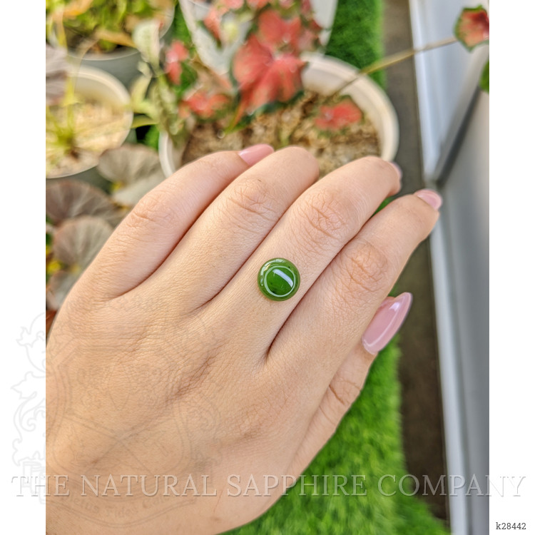 3.12 Ct. Green Cabochon Jade from Burma (Myanmar)
