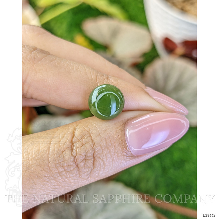 3.12 Ct. Green Cabochon Jade from Burma (Myanmar)