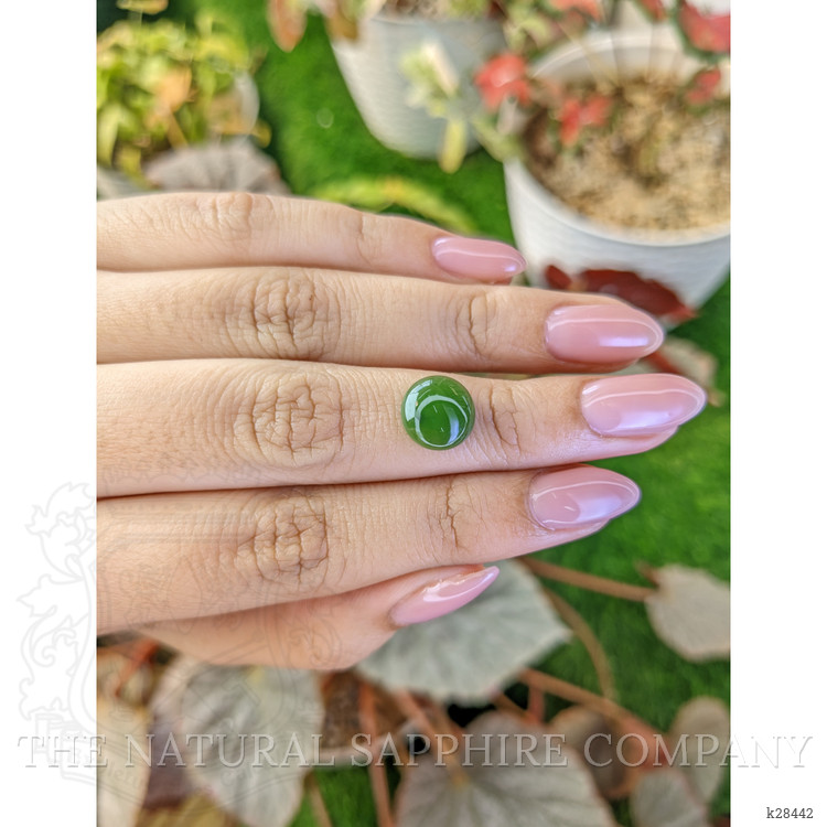 3.12 Ct. Green Cabochon Jade from Burma (Myanmar)