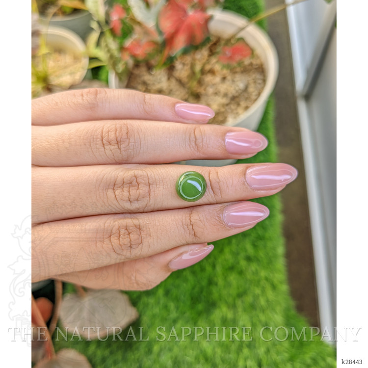 3.98 Ct. Green Cabochon Jade from Burma (Myanmar)