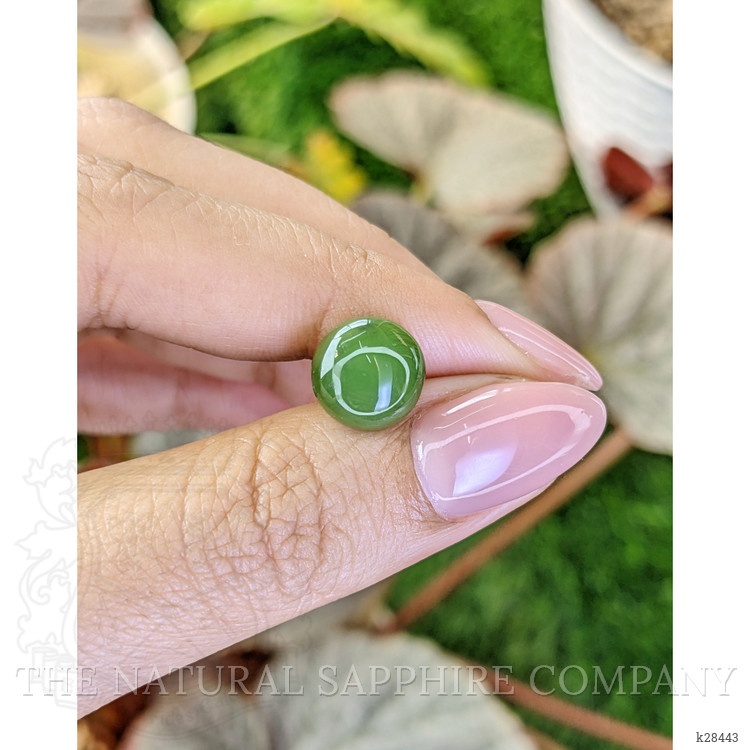 3.98 Ct. Green Cabochon Jade from Burma (Myanmar)