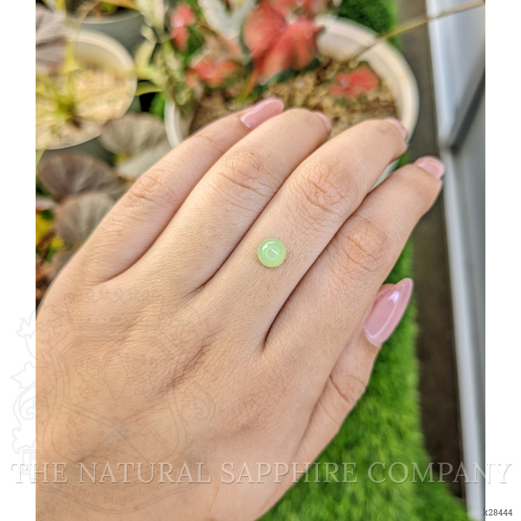 1.39 Ct. Green Cabochon Jade from Burma (Myanmar)