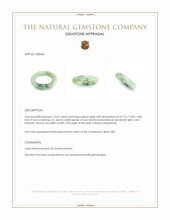 12.67 Ct. Green Jade from Burma (Myanmar) Appraisal