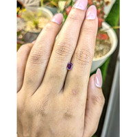 0.51 Ct. Purplish Pink Rhodolite Garnet from Ceylon (Sri Lanka) Life Style