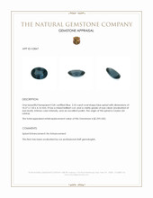 2.55 Ct. Blue Spinel from Ceylon (Sri Lanka) Appraisal