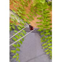 1.14 Ct. Red Spinel from Ceylon (Sri Lanka) Life Style