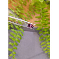 1.63 Ct. Pinkish Purple Spinel from Ceylon (Sri Lanka) Life Style
