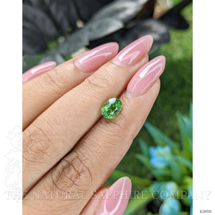 1.61 Ct. Tsavorite Garnet from Tanzania