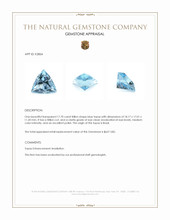 17.70 Ct. Blue Topaz from Brazil Appraisal