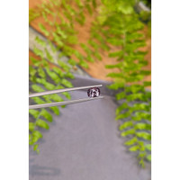 1.41 Ct. Purplish Grey Spinel from Burma (Myanmar) Life Style
