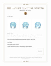 32.44 Ct. Topaz from Brazil Appraisal
