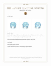 32.44 Ct. Blue Topaz from Brazil Appraisal