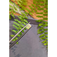 0.99 Ct. Multi Color White Opal (Light Opal) from Australia Life Style