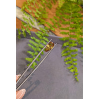 4.94 Ct. Yellowish Orange Precious Topaz from Brazil Life Style