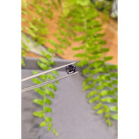 1.12 Ct. Purple Spinel from Burma (Myanmar) Life Style
