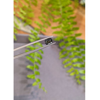 1.05 Ct. Grey Spinel from Burma (Myanmar) Life Style