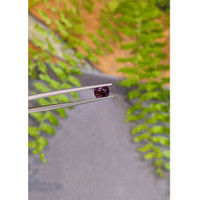 1.22 Ct. Purple Spinel from Burma (Myanmar) Life Style