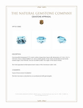 9.75 Ct. Blue Topaz from Brazil Appraisal