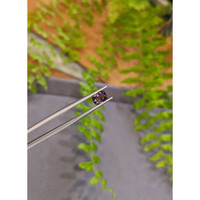 1.35 Ct. Purplish Grey Spinel from Burma (Myanmar) Life Style