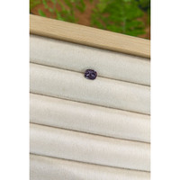 1.18 Ct. Purplish Grey Spinel from Burma (Myanmar) Life Style