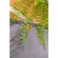 8.45 Ct. Orangish Yellow Citrine from Brazil Life Style