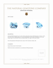 15.16 Ct. Topaz from Brazil Appraisal