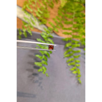 0.65 Ct. Madeira (Reddish Orange) Citrine from Brazil Life Style
