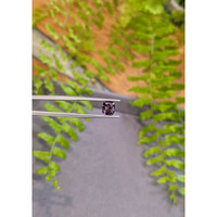 1.20 Ct. Purplish Grey Spinel from Burma (Myanmar) Life Style