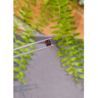 1.30 Ct. Pinkish Purple Spinel from Burma (Myanmar) Life Style