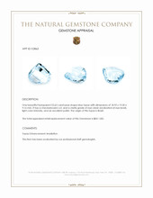 23.63 Ct. Blue Topaz from Brazil Appraisal
